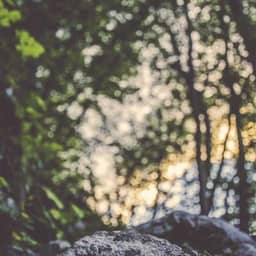 test-setup--Provider Desktop Only_big_logo.jpg